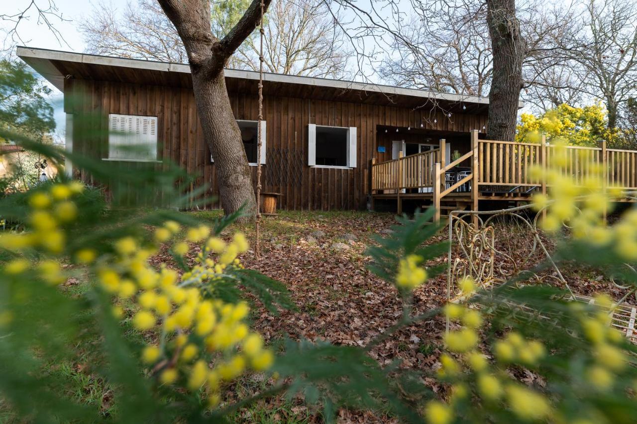 La Petite Maison Du Lac ビスカロッス エクステリア 写真